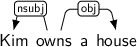 Dependency graph for sentence: Kim owns a house.