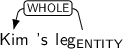 Dependency graph for sentence: Kim 's leg. Token leg is labeled ENTITY and has an edge labeled WHOLE to token Kim.