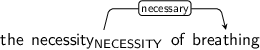 Dependency graph for sentence: the necessity of breathing. Token necessity is labeled NECESSITY and has an edge labeled necessary to token breathing.