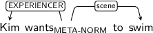 Dependency graph for sentence: Kim wants to swim. Token wants is labeled META-NORM and has an edge labeled EXPERIENCER to token Kim and an edge labeled scene to token swim.