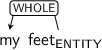 Dependency graph for sentence: my feet. Token feet is labeled ENTITY and has an edge labeled WHOLE to token my.