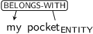 Dependency graph for sentence: my pocket. Token pocket is labeled ENTITY and has an edge labeled BELONGS-WITH to token my.
