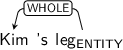 Dependency graph for sentence: Kim 's leg. Token leg is labeled ENTITY and has an edge labeled WHOLE to token Kim.