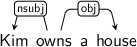 Dependency graph for sentence: Kim owns a house.