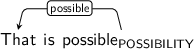 Dependency graph for sentence: That is possible. Token possible is labeled POSSIBILITY and has an edge labeled possible to token That.