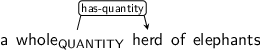 Dependency graph for sentence: a whole herd of elephants. Token whole is labeled QUANTITY and has an edge labeled has-quantity to token herd.