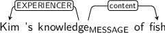 Dependency graph for sentence: Kim 's knowledge of fish. Token knowledge is labeled MESSAGE and has an edge labeled EXPERIENCER to token Kim and an edge labeled content to token fish.