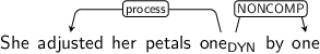 Dependency graph for sentence: She adjusted her petals one by one. Token one is labeled DYN and has an edge labeled process to token adjusted and an edge labeled NONCOMP to token one.